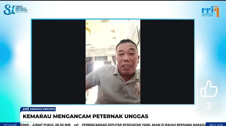 Kemarau dan Kabut Asap Ancam Ternak Unggas Sanggau