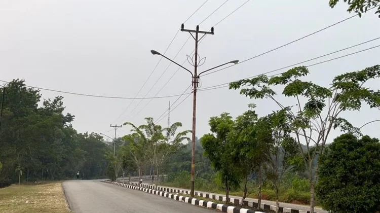 Pembangunan Jaringan Listrik di Sanggau Terganjal Status Hutan Lindung