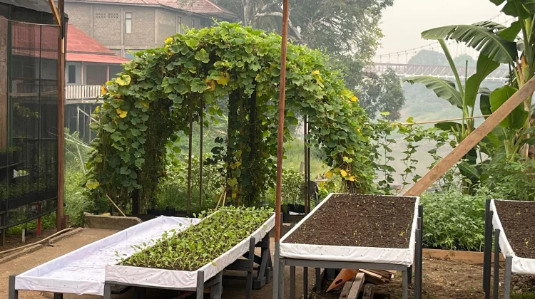 Kabut Asap, Kunjungan ke Kebun Pokdarwis Muara Kantu Terdampak