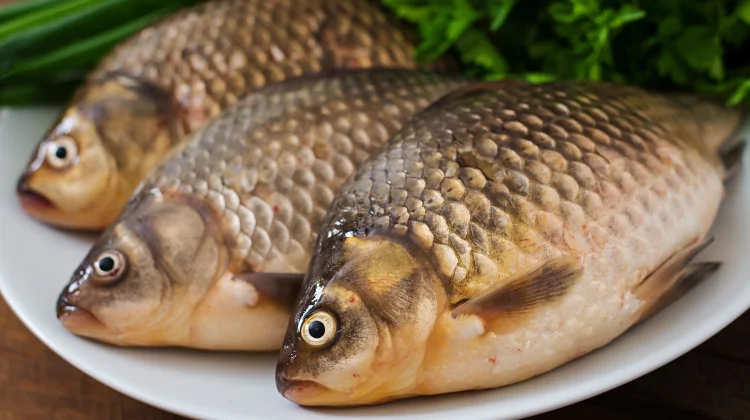 Tujuh Fakta Nila, Ikan Air Tawar yang Kaya Nutrisi