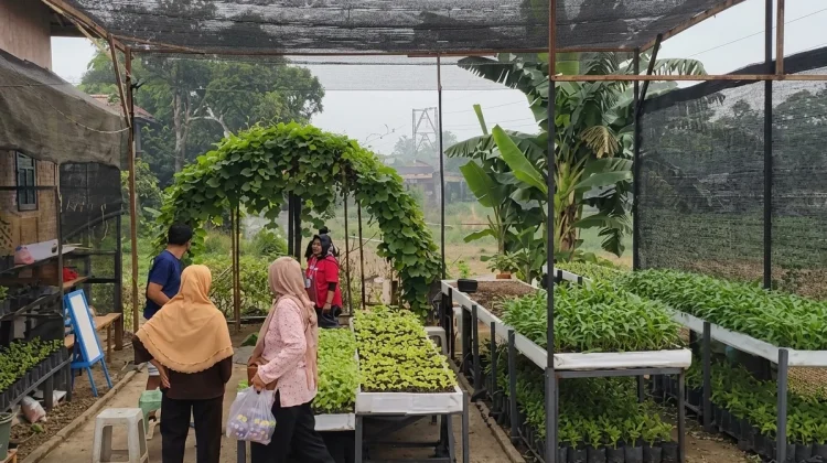 CFD Kembali Dibuka, Sayuran Kebun Pokdarwis Sanggau Laris Diserbu Pengunjung