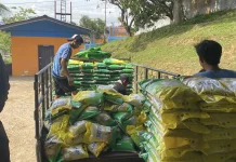 Bulog Sanggau Stabilkan Pasokan Hadapi Tingginya Permintaan