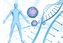 Autofagi saat Puasa Proses Alami Tubuh Membersihkan dan Memperbarui Sel Rusak