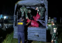 Aparat Gabungan Gagalkan Penyelundupan Pangan Ilegal Asal Malaysia