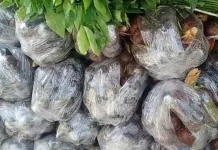 Ramadan, Ekspor BUMDes Entikong Didominasi Salak dan Semangka