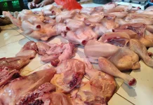 Harga Ayam Potong di Sanggau, Warga: Alhamdulillah