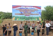 Polres Sanggau Beri Contoh Alternatif Pertanian Selain Sawit