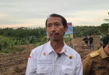 Pemkab Sanggau Instruksikan Penyuluh Pertanian Perkuat Penanaman Jagung