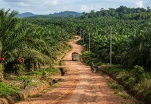 DPRD Sanggau Dorong Perusahaan Bantu Infrastruktur lewat CSR