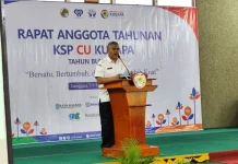 CU Jadi Motor Inklusi Keuangan hingga Pelosok Desa