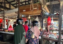 Pasokan Daging Lokal Terbatas, Inflasi Berpotensi Naik