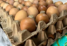 Harga Telur Ayam Ras di Sanggau Naik