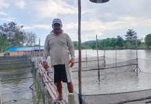 Permintaan Ikan Air Tawar Stabil saat Ramadan