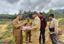 Sekda Sanggau Pantau Penanaman Kembali Pohon PT CUT