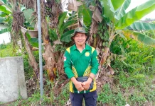 BPP Sekayam Dampingi Petani Tingkatkan Produksi Jagung