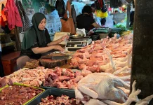 Permintaan Meningkat, Harga Ayam di Sanggau Melonjak