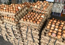 Pasokan Terbatas, Harga Telur di Sanggau Naik