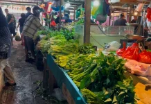 Harga Sayuran Turun, Pedagang Sebut Pasokan Aman