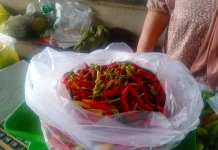 Harga Cabai Tembus 130 Ribu di Entikong