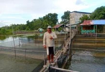 Budidaya Keramba Pasok Kebutuhan Ikan di Sekayam