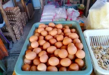 Harga Telur Ayam di Pasar Entikong Tetap Stabil