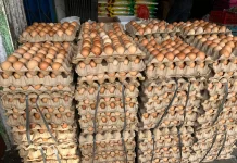 Hore! Harga Telur di Sanggau Turun
