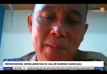 Faktor Kendaraan dan Human Error Jadi Penyebab Kecelakaan di Penyeladi Tinggi