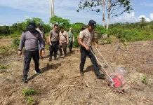 Penanaman Jagung Kuartal-II, Polsek Beduai Target Lampaui Produksi