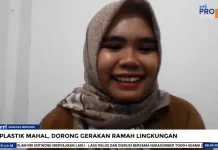 Plastik Mahal Dorong UMKM Beralih Ramah Lingkungan