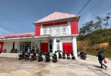Stok Obat Anti-Diabetes di Puskesmas Sanggau Dipastikan Cukup