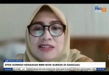 Kenaikan Harga BBM Non Subsidi Timbulkan Berbagai Dampak di Masyarakat