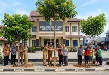 DLH Sanggau Sebut Angsana Jadi Pohon Favorit untuk Penghijauan