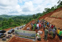Pohon Bantu Jaga Kestabilan Tanah, DLH Sanggau Ajak Warga Menanam