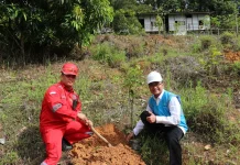 Peringati Hari Bumi, PLN IP-UBP Sanggau Tanam Pohon