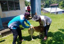 Target 500 Dosis, Vaksinasi Rabies Digenjot di Semanget