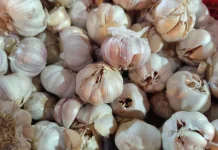 Harga Bawang di Sanggau Naik Lagi