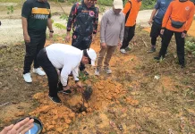 BPBD Sanggau Dorong Kesiapsiagaan Melalui Tanam Pohon