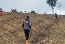 Polsek Beduai Kejar Target Tanam Jagung Ketahanan Pangan