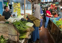 Distribusi Tersendat, Harga Sayur di Sanggau Naik