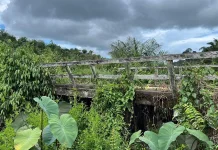 Jembatan Tanak Rusak, TMMD Sanggau Bangun Ulang