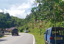 Ratusan Bendera Merah Putih Hiasi Perbatasan RI-Malaysia di Semanget