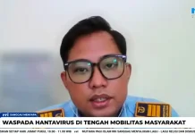 Waspada Hantavirus saat Mobilitas Warga Meningkat Tajam