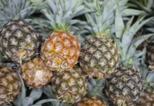 Tips Memilih Buah Nanas dengan Rasa Manis