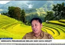 Pemanfaatan Pupuk Organik di Sanggau Masih Rendah