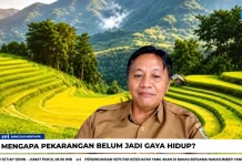 Pekarangan Belum Menjadi Gaya Hidup