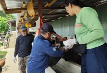 Pemilik Ternak di Liku Dukung Pemeriksaan Hewan Kurban