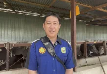 Pengawas Ternak Nilai Kandang Sapi di Sanggau Sudah Baik