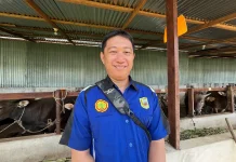 Peternakan Perorangan di Sanggau Banyak Belum Standar