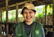 Paramedik Veteriner Disbunnak Sanggau Jelaskan Penularan dan Penanganan PMK