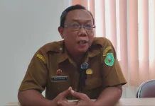 Harga TBS Turun, Disbunnak Sanggau: Hanya sementara